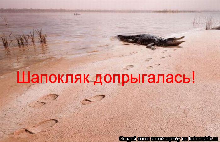 Шапокляк допрыгалась!... Котоматрица: Шапокляк допрыгалась!
