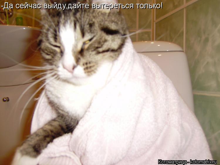-Да сейчас выйду,дайте вытереться только!... Котоматрица: -Да сейчас выйду,дайте вытереться только!