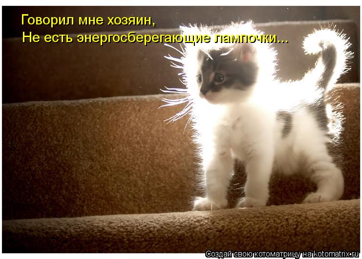 Говорил мне хозяин, Не есть энергосберегающие лампочки...... Котоматрица: Говорил мне хозяин, Не есть энергосберегающие лампочки...