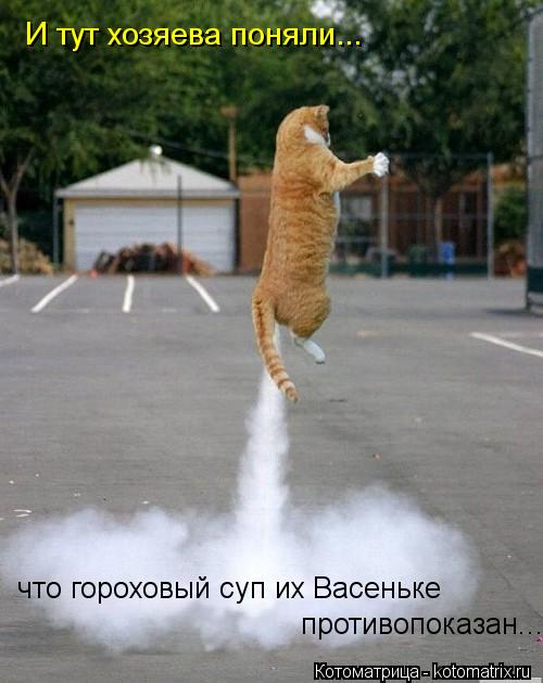 И тут хозяева поняли... что гороховый суп их Васеньке противопоказан...... Котоматрица: И тут хозяева поняли... что гороховый суп их Васеньке противопоказан...
