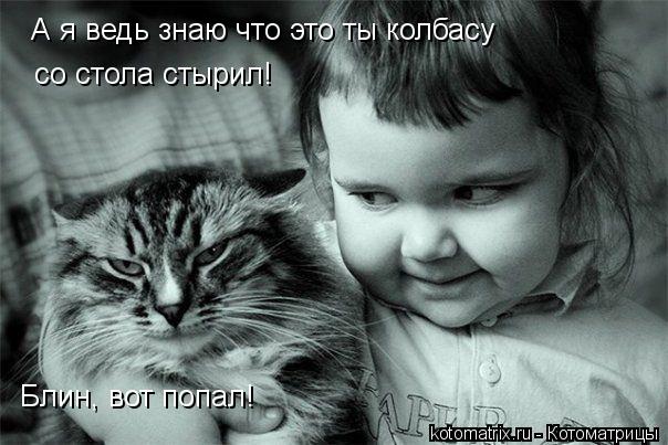 А я ведь знаю что это ты колбасу со стола стырил! Блин, вот попал!... Котоматрица: А я ведь знаю что это ты колбасу со стола стырил! Блин, вот попал!
