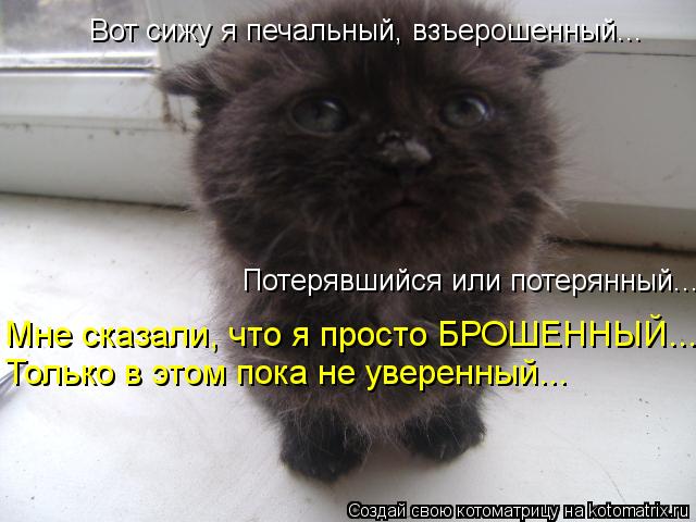 Вот сижу я печальный, взъерошенный... Потерявшийся или потерянный... Мне сказали, что я просто БРОШЕН... Котоматрица: Вот сижу я печальный, взъерошенный... Потерявшийся или потерянный... Мне сказали, что я просто БРОШЕННЫЙ... Только в этом пока не уверенный...