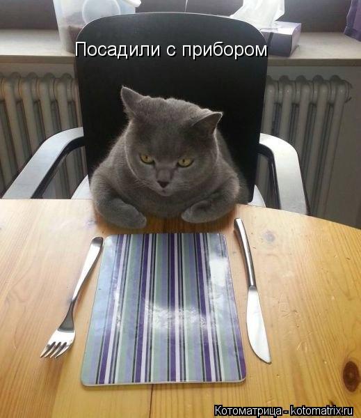 Посадили с прибором... Котоматрица: Посадили с прибором