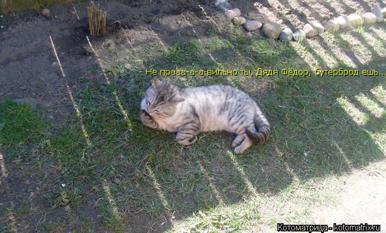 - Не прааа-а-а-вильно ты, Дядя Фёдор, бутерброд ешь...... Котоматрица: - Не прааа-а-а-вильно ты, Дядя Фёдор, бутерброд ешь...