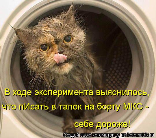 В ходе эксперимента выяснилось, что пИсать в тапок на борту МКС - себе дороже!... Котоматрица: В ходе эксперимента выяснилось, что пИсать в тапок на борту МКС - себе дороже!
