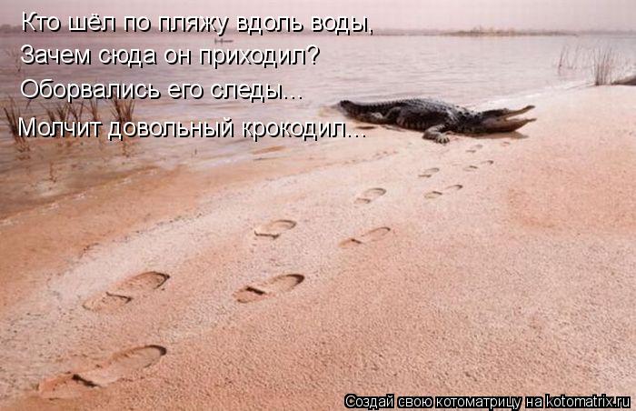 Кто шёл по пляжу вдоль воды, Зачем сюда он приходил? Оборвались его следы... Молчит довольный крокод... Котоматрица: Кто шёл по пляжу вдоль воды, Зачем сюда он приходил? Оборвались его следы... Молчит довольный крокодил...
