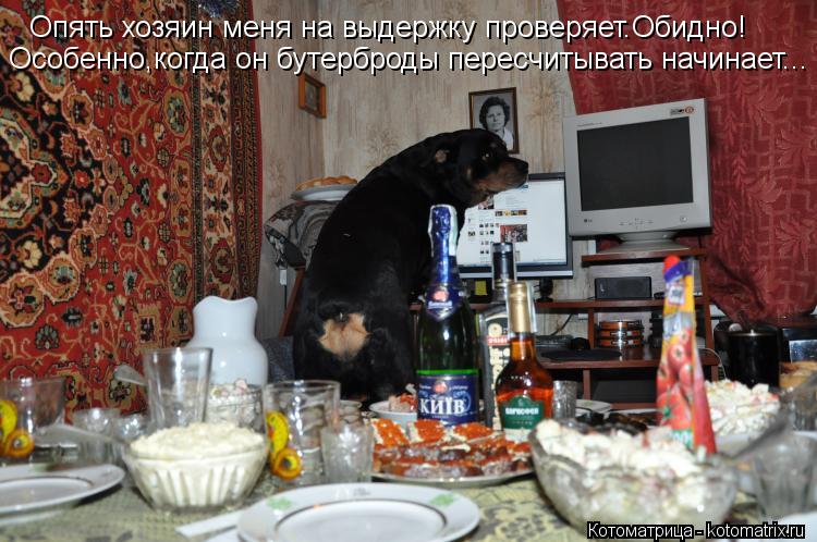 Опять хозяин меня на выдержку проверяет.Обидно! Особенно,когда он бутерброды пересчитывать начинает..... Котоматрица: Опять хозяин меня на выдержку проверяет.Обидно! Особенно,когда он бутерброды пересчитывать начинает...