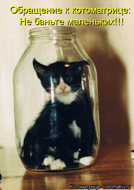 Обращение к котоматрице: Не баньте маленьких!!!... Котоматрица: Обращение к котоматрице: Не баньте маленьких!!!