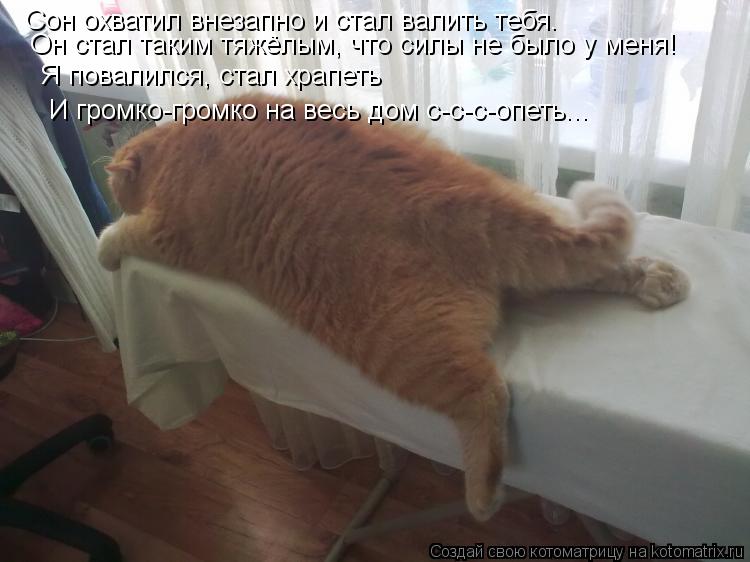 Сон охватил внезапно и стал валить тебя. Он стал таким тяжёлым, что силы не было у меня! Я повалилс... Котоматрица: Сон охватил внезапно и стал валить тебя. Он стал таким тяжёлым, что силы не было у меня! Я повалился, стал храпеть И громко-громко на весь до