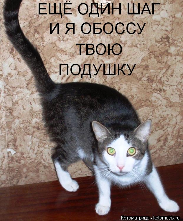ЕЩЁ ОДИН ШАГ И Я ОБОССУ ТВОЮ ПОДУШКУ... Котоматрица: ЕЩЁ ОДИН ШАГ И Я ОБОССУ ТВОЮ ПОДУШКУ