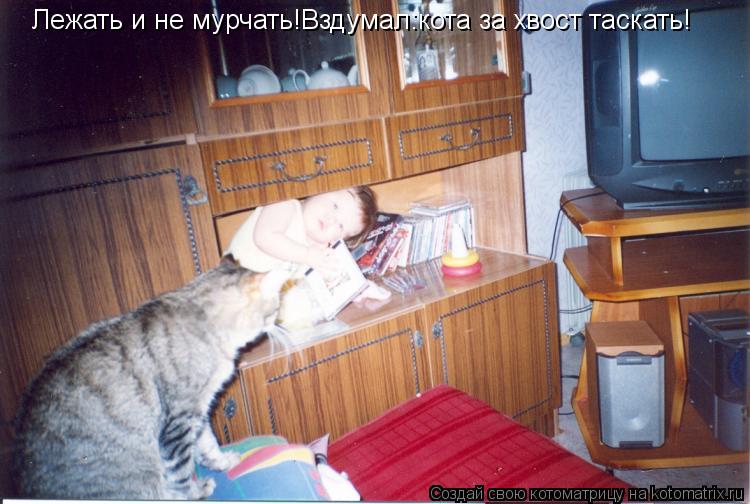 Лежать и не мурчать!Вздумал:кота за хвост таскать!... Котоматрица: Лежать и не мурчать!Вздумал:кота за хвост таскать!
