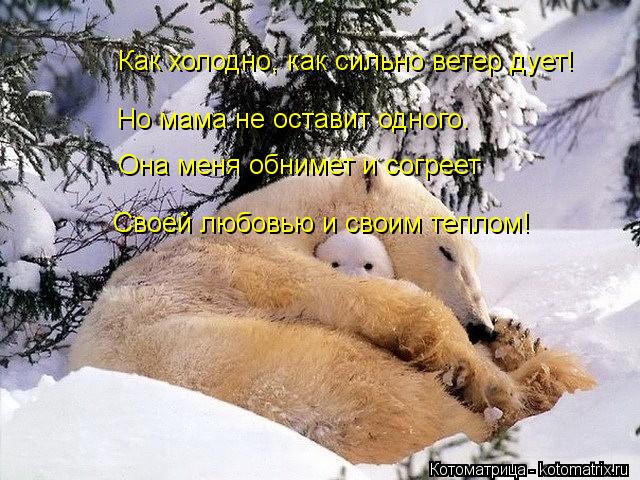 Как холодно, как сильно ветер дует! Но мама не оставит одного. Она меня обнимет и согреет Своей любов... Котоматрица: Как холодно, как сильно ветер дует! Но мама не оставит одного. Она меня обнимет и согреет Своей любовью и своим теплом!