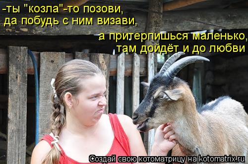 -ты "козла"-то позови, там дойдёт и до любви да побудь с ним визави, а притерпишься маленько,... Котоматрица: -ты "козла"-то позови, там дойдёт и до любви да побудь с ним визави, а притерпишься маленько,