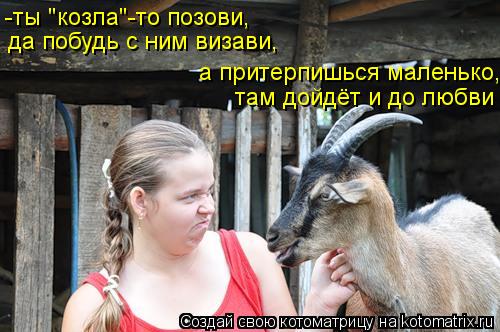 Котоматрица: -ты "козла"-то позови, там дойдёт и до любви да побудь с ним визави, а притерпишься маленько,