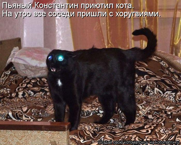 Пьяный Константин приютил кота. На утро все соседи пришли с хоругвиями.... Котоматрица: Пьяный Константин приютил кота. На утро все соседи пришли с хоругвиями.