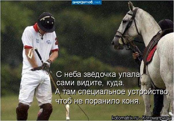 С неба звёдочка упала, сами видите, куда. А там специальное устройство, чтоб не поранило коня.... Котоматрица: С неба звёдочка упала, сами видите, куда. А там специальное устройство, чтоб не поранило коня.