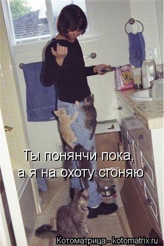 Ты понянчи пока, а я на охоту сгоняю... Котоматрица: Ты понянчи пока, а я на охоту сгоняю