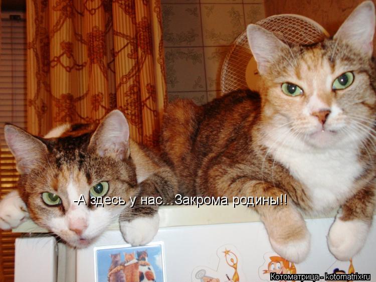 -А здесь у нас...Закрома родины!!... Котоматрица: -А здесь у нас...Закрома родины!!