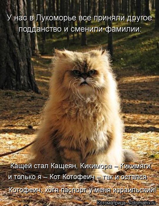 и только я – Кот Котофеич – так и остался Кащей стал Кащеян, Кикимора – Кикимяги, Котофеич, хотя пас... Котоматрица: и только я – Кот Котофеич – так и остался Кащей стал Кащеян, Кикимора – Кикимяги, Котофеич, хотя паспорт у меня израильский! У нас в Лукомор
