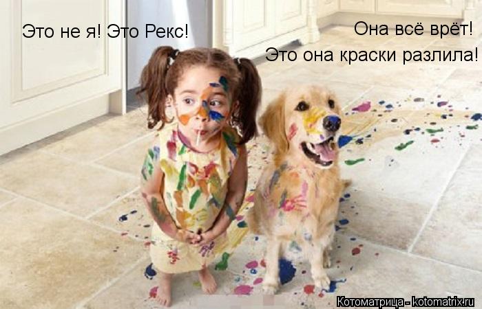 Котоматрица: Это не я! Это Рекс! Она всё врёт!  Это она краски разлила!