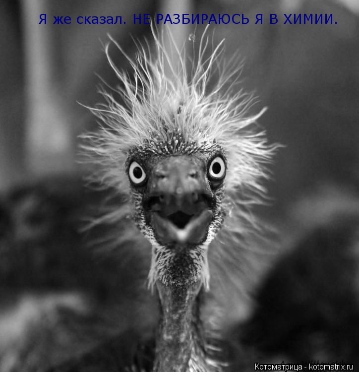 Я же сказал. НЕ РАЗБИРАЮСЬ Я В ХИМИИ.... Котоматрица: Я же сказал. НЕ РАЗБИРАЮСЬ Я В ХИМИИ.