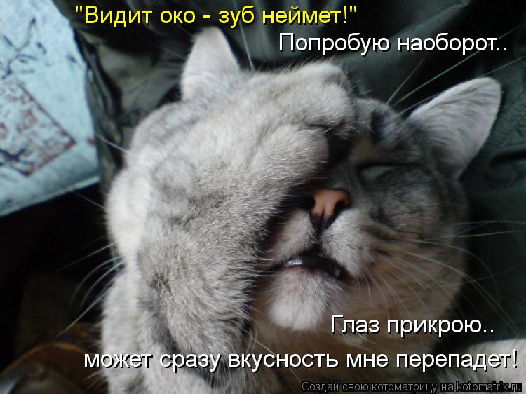 "Видит око - зуб неймет!" Попробую наоборот.. Глаз прикрою.. может сразу вкусность мне перепадет!... Котоматрица: "Видит око - зуб неймет!" Попробую наоборот.. Глаз прикрою.. может сразу вкусность мне перепадет!