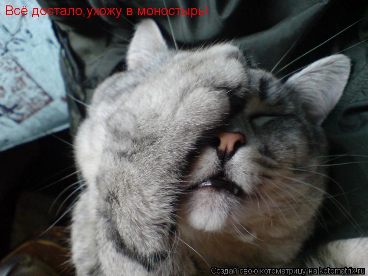 Всё достало,ухожу в моностырь!... Котоматрица: Всё достало,ухожу в моностырь!