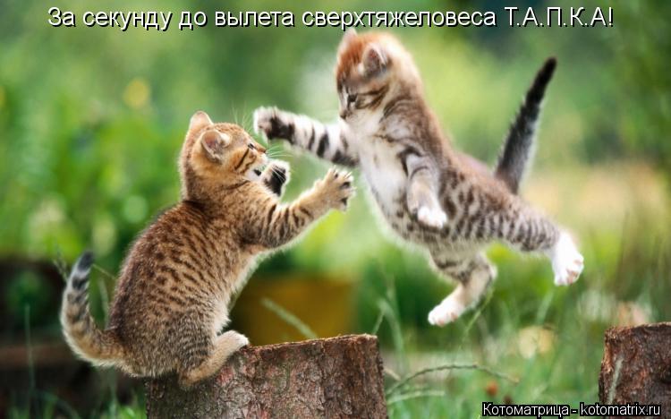 За секунду до вылета сверхтяжеловеса Т.А.П.К.А!... Котоматрица: За секунду до вылета сверхтяжеловеса Т.А.П.К.А!