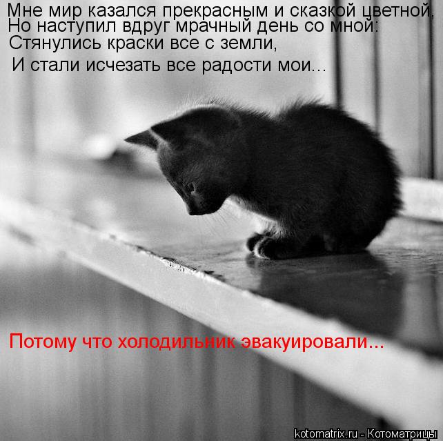 Мне мир казался прекрасным и сказкой цветной, Но наступил вдруг мрачный день со мной: Стянулись краск... Котоматрица: Мне мир казался прекрасным и сказкой цветной, Но наступил вдруг мрачный день со мной: Стянулись краски все с земли, И стали исчезать все рад