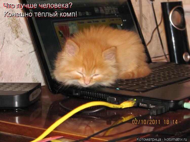 Что лучше человека? Конешно тёплый комп! Конешно тёплый комп! Что лучше человека?... Котоматрица: Что лучше человека? Конешно тёплый комп! Конешно тёплый комп! Что лучше человека?