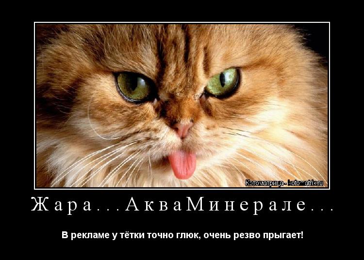 Жара...АкваМинерале... В рекламе у тётки точно глюк, очень резво прыгает!... Котоматрица: Жара...АкваМинерале... В рекламе у тётки точно глюк, очень резво прыгает!