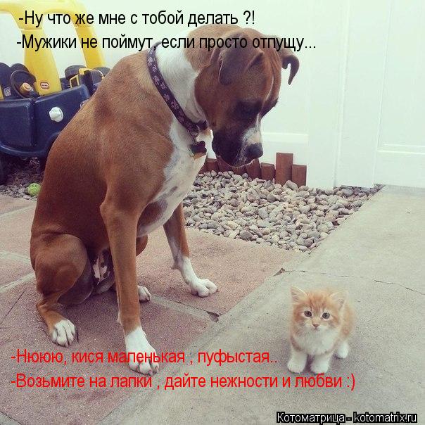 -Ну что же мне с тобой делать ?! -Мужики не поймут, если просто отпущу... -Нююю, кися маленькая , пуф... Котоматрица: -Ну что же мне с тобой делать ?! -Мужики не поймут, если просто отпущу... -Нююю, кися маленькая , пуфыстая.. -Возьмите на лапки , дайте нежности и л