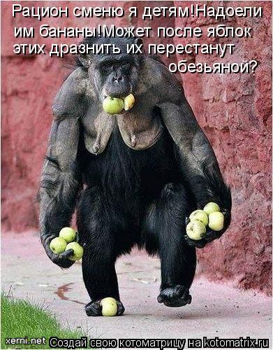 Рацион сменю я детям!Надоели им бананы!Может после яблок этих дразнить их перестанут обезьяной?... Котоматрица: Рацион сменю я детям!Надоели им бананы!Может после яблок этих дразнить их перестанут обезьяной?