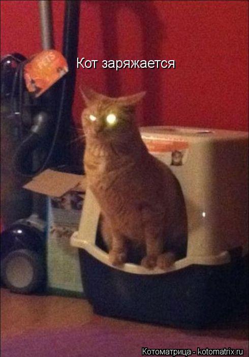 Кот заряжается... Котоматрица: Кот заряжается