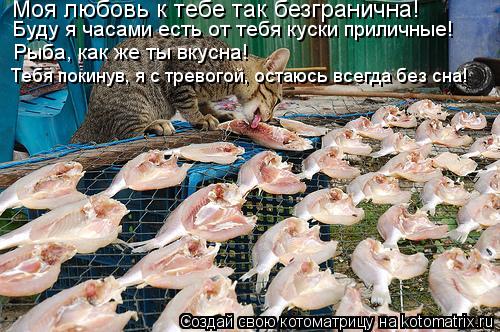 Моя любовь к тебе так безгранична! Буду я часами есть от тебя куски приличные! Рыба, как же ты вкусна... Котоматрица: Моя любовь к тебе так безгранична! Буду я часами есть от тебя куски приличные! Рыба, как же ты вкусна! Тебя покинув, я с тревогой, остаюсь всег