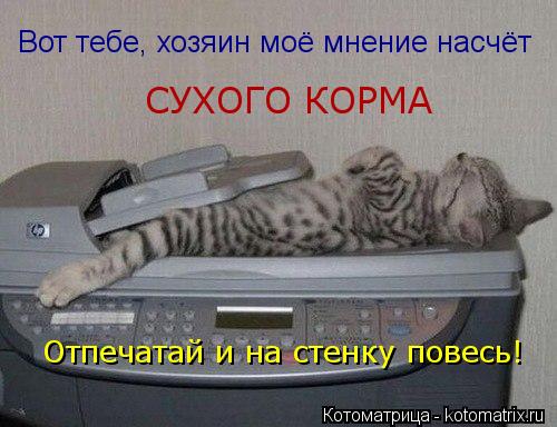 Котоматрица: Вот тебе, хозяин моё мнение насчёт СУХОГО КОРМА Отпечатай и на стенку повесь!