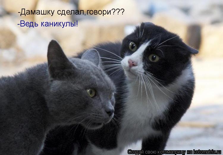 -Дамашку сделал,говори??? -Ведь каникулы!... Котоматрица: -Дамашку сделал,говори??? -Ведь каникулы!