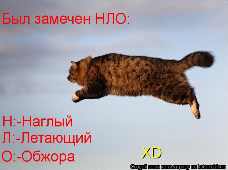 Был замечен НЛО: Н:-Наглый Л:-Летающий О:-Обжора ХD... Котоматрица: Был замечен НЛО: Н:-Наглый Л:-Летающий О:-Обжора ХD