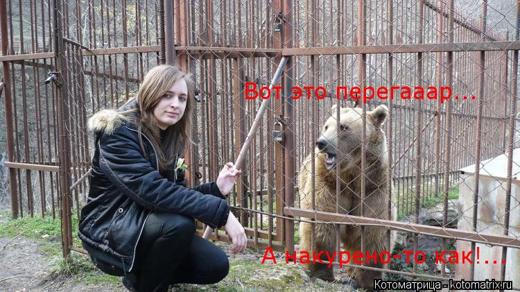 Вот это перегааар... А накурено-то как!...... Котоматрица: Вот это перегааар... А накурено-то как!...
