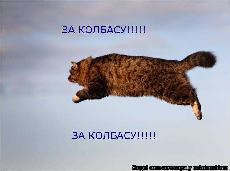 ЗА КОЛБАСУ!!!!! ЗА КОЛБАСУ!!!!!... Котоматрица: ЗА КОЛБАСУ!!!!! ЗА КОЛБАСУ!!!!!