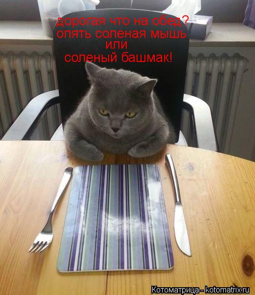 дорогая что на обед? опять соленая мышь или соленый башмак!... Котоматрица: дорогая что на обед? опять соленая мышь или соленый башмак!