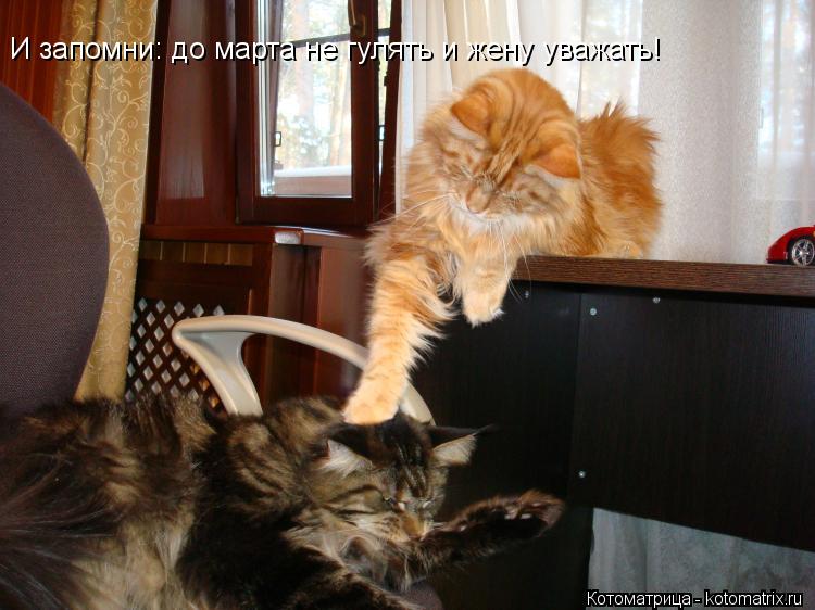 И запомни: до марта не гулять и жену уважать!... Котоматрица: И запомни: до марта не гулять и жену уважать!