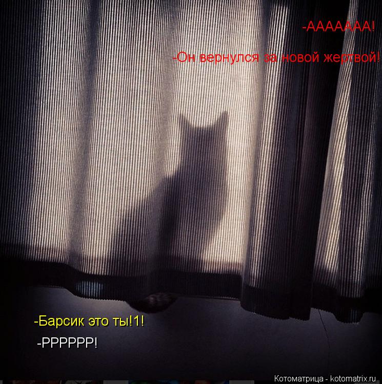 -ААААААА! -Он вернулся за новой жертвой! -Барсик это ты!1! -РРРРРР!... Котоматрица: -ААААААА! -Он вернулся за новой жертвой! -Барсик это ты!1! -РРРРРР!