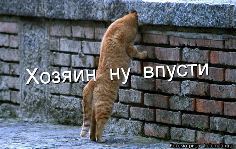 Хозяин ну впусти... Котоматрица: Хозяин ну впусти
