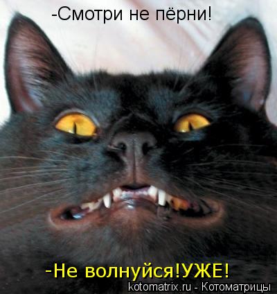 -Смотри не пёрни! -Не волнуйся!УЖЕ!... Котоматрица: -Смотри не пёрни! -Не волнуйся!УЖЕ!