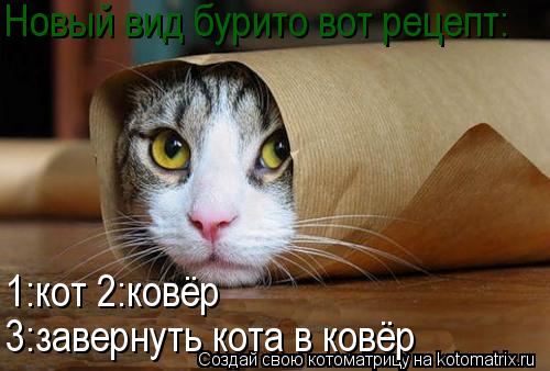 Новый вид бурито вот рецепт: 1:кот 1:кот 2:ковёр 3:завернуть кота в ковёр... Котоматрица: Новый вид бурито вот рецепт: 1:кот 1:кот 2:ковёр 3:завернуть кота в ковёр