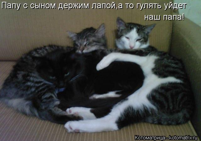 Папу с сыном держим лапой,а то гулять уйдет наш папа!... Котоматрица: Папу с сыном держим лапой,а то гулять уйдет наш папа!
