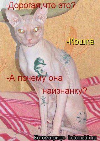 -Дорогая,что это? -Кошка -А почему она наизнанку?... Котоматрица: -Дорогая,что это? -Кошка -А почему она наизнанку?