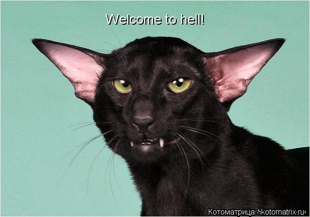 Welcome to hell!... Котоматрица: Welcome to hell!