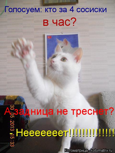 Котоматрица: Голосуем: кто за 4 сосиски в час? А задница не треснет? - Нееееееет!!!!!!!!!!!!!!!!